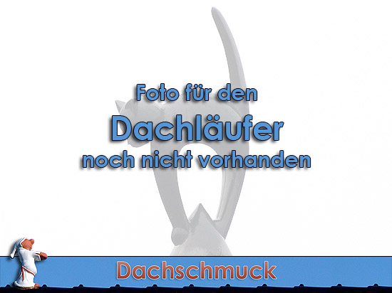 Dachläufer / Dachsprinter