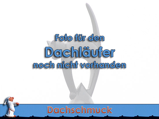 Dachlufer / Dachsprinter