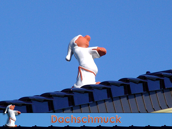 Dachfigur Schlafwandler